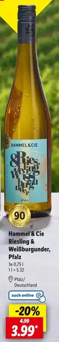 Lidl Hammel & cie riesling & weißburgunder, pfalz Angebot