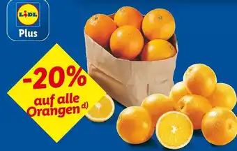 Lidl Lidl -20% Angebot