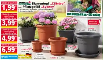 Norma Powertec Garden Blumentopf „Cilindro" oder Pflanzgefäß „Sydney" Angebot