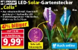 Norma ezsolar LED-Solar-Gartenstecker Calla Angebot