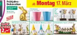 Norma Frühjahrs Dekoration Angebot