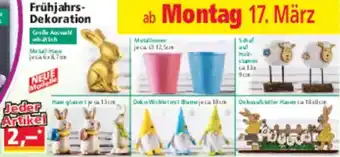 Norma Frühjahrs Dekoration Angebot