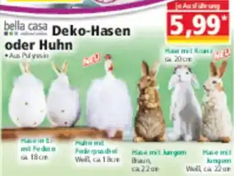 Norma bella casa Deko-Hasen oder Huhn Angebot