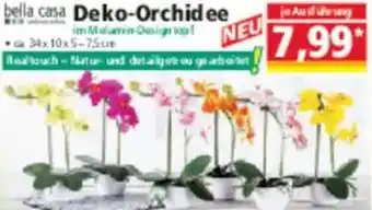 Norma bella casa Deko-Orchidee Angebot