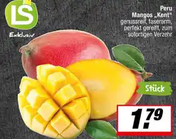 L. STROETMANN GROSSMARKT Peru Mangos,,Kent" Angebot