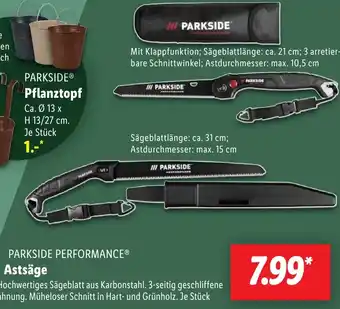 Lidl PARKSIDE PERFORMANCE Astsäge Angebot