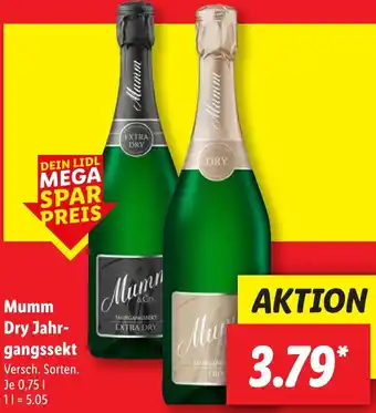 Lidl Mumm Dry Jahrgangssekt Angebot