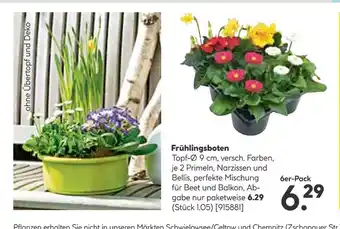 Hellweg Frühlingsboten Angebot