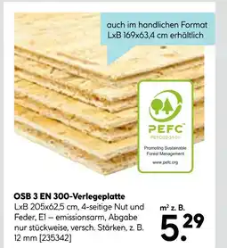 Hellweg Pefc osb 3 en 300-verlegeplatte Angebot