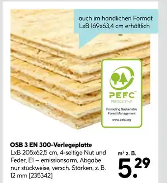 Hellweg Pefc osb 3 en 300-verlegeplatte Angebot