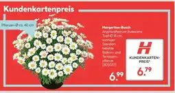 Hellweg Margeriten-busch Angebot