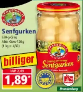 Norma Senfgurken Angebot