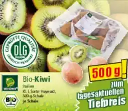 Norma Bio Sonne Bio-Kiwi Angebot