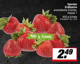 L. STROETMANN GROSSMARKT Spanien Erdbeeren Angebot