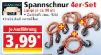 Norma DIAMOND CAR Spannschnur 4er-Set Angebot