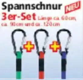 Norma DIAMOND CAR Spannschnur 3er Set Angebot