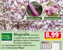 Norma FINEST GARDEN Magnolie Angebot