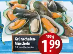 Famila Nord Ost Grünschalen Muscheln Angebot