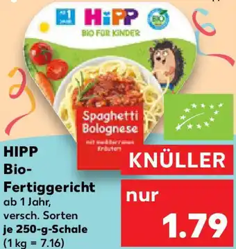 Kaufland HIPP Bio Fertiggericht Angebot