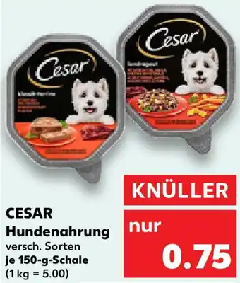 Kaufland CESAR Hundenahrung Angebot