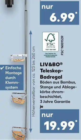 Kaufland LIV&BO Teleskop Badregal Angebot