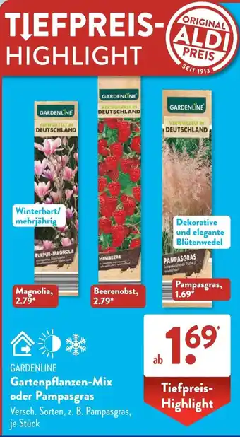 Aldi Süd GARDENLINE Gartenpflanzen-Mix oder Pampasgras Angebot