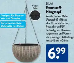 Aldi Süd BELAVI Kunststoff Hängetopf Angebot