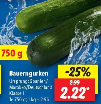 Lidl Bauerngurken Angebot