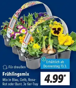 Lidl Frühlingsmix Angebot