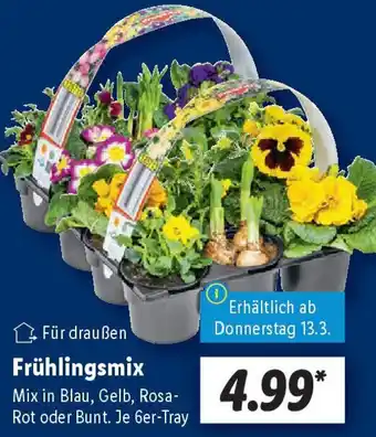 Lidl Frühlingsmix Angebot