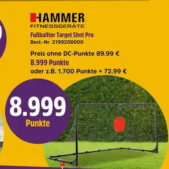 Netto Marken-Discount Fußballtor Target Shot Pro Angebot