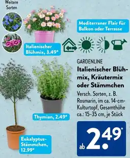 Aldi Süd GARDENLINE Italienischer Blühmix, Kräutermix oder Stämmchen Angebot