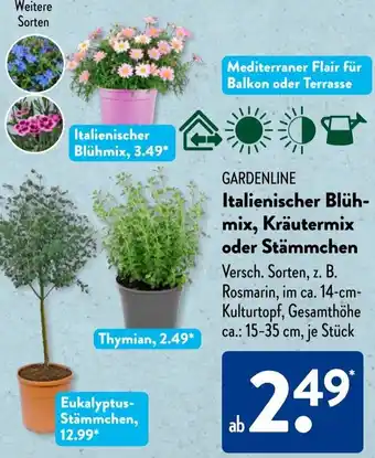 Aldi Süd GARDENLINE Italienischer Blühmix, Kräutermix oder Stämmchen Angebot