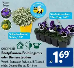 Aldi Süd GARDENLINE Beetpflanzen-Frühlingsmix oder Bienenstauden Angebot