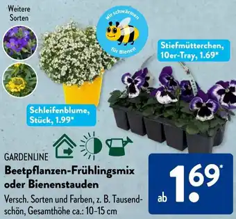 Aldi Süd GARDENLINE Beetpflanzen-Frühlingsmix oder Bienenstauden Angebot