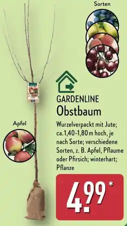 Aldi Nord GARDENLINE Obstbaum Angebot