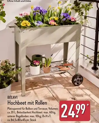 Aldi Nord BELAVI Hochbeet mit Rollen Angebot