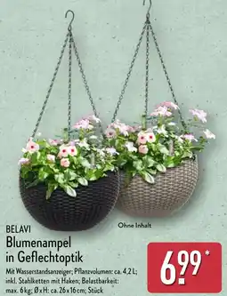 Aldi Nord BELAVI Blumenampel in Geflechtoptik Angebot