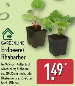 Aldi Nord GARDENLINE Erdbeere/ Rhabarber Angebot