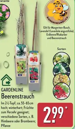 Aldi Nord GARDENLINE Beerenstrauch Angebot