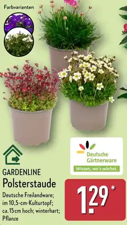 Aldi Nord GARDENLINE Polsterstaude Angebot