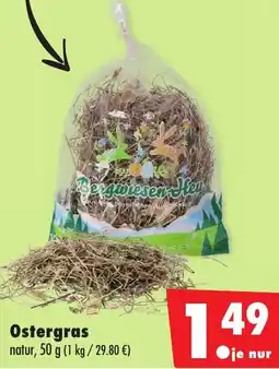 Mäc Geiz Ostergras Angebot