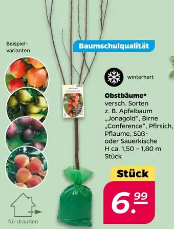 NETTO Obstbäume Angebot