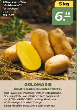 NETTO Pflanzkartoffeln ,,Goldmarie" Angebot