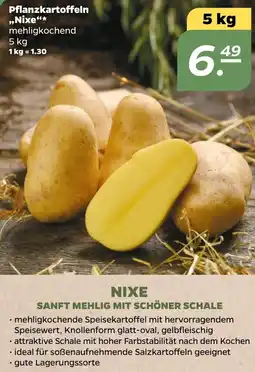 NETTO Pflanzkartoffeln „Nixe" Angebot