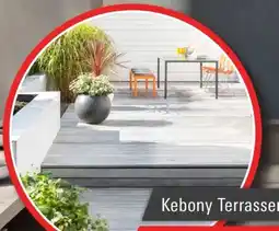 Bauwelt Delmes Heitmann Kebony Terrassendiele Angebot