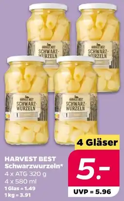 NETTO HARVEST BEST Schwarzwurzeln Angebot