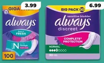 NETTO always Slipeinlagen im Gigapack oder discreet Inkontinenzeinlagen im Big Pack Angebot