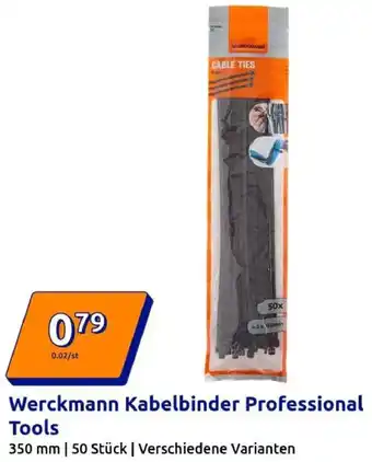 Action Werckmann Kabelbinder Professional Tools Angebot