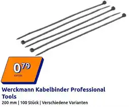 Action Werckmann Kabelbinder Professional Tools Angebot